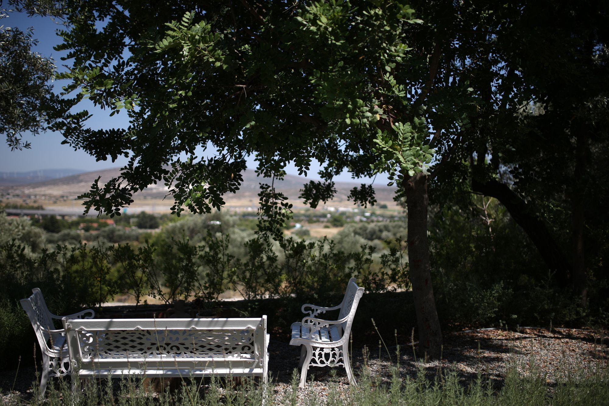 Villa Taraca Alacati Romantik Otel (Adults Only) Exteriér fotografie
